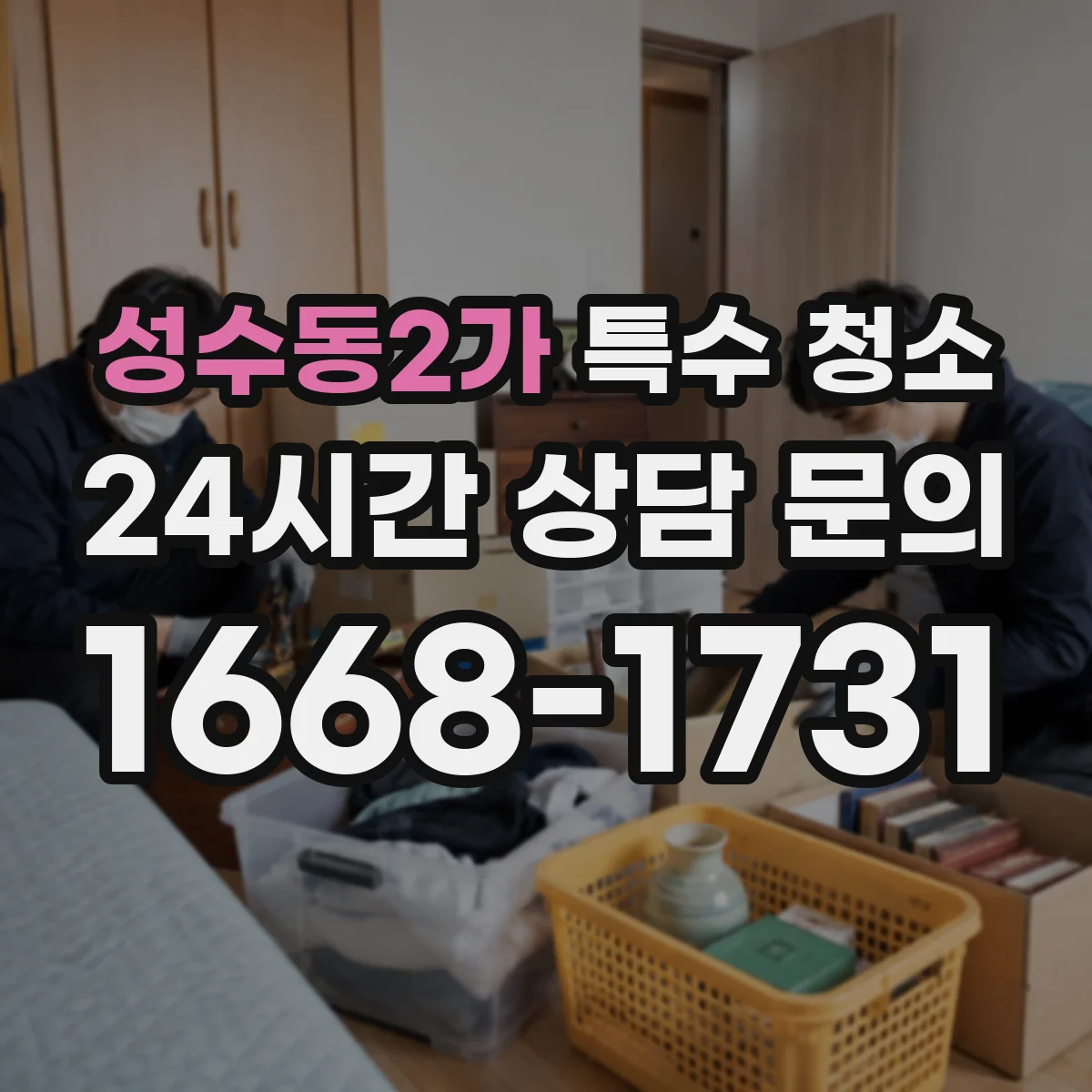 성수동2가 특수 청소
