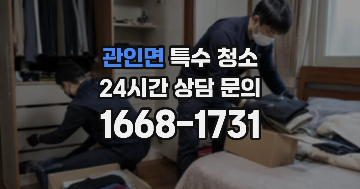 관인면 특수 청소