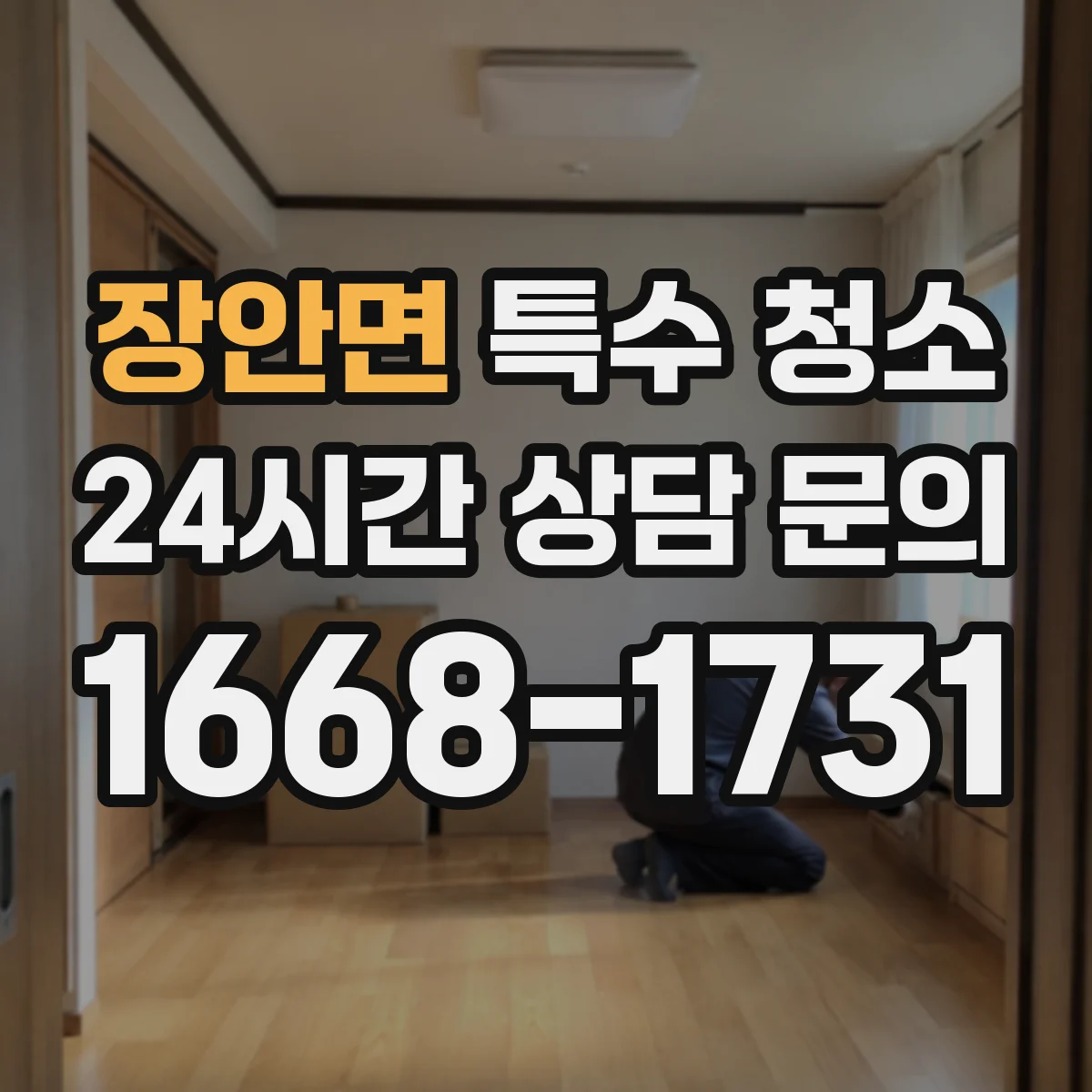 장안면 특수 청소