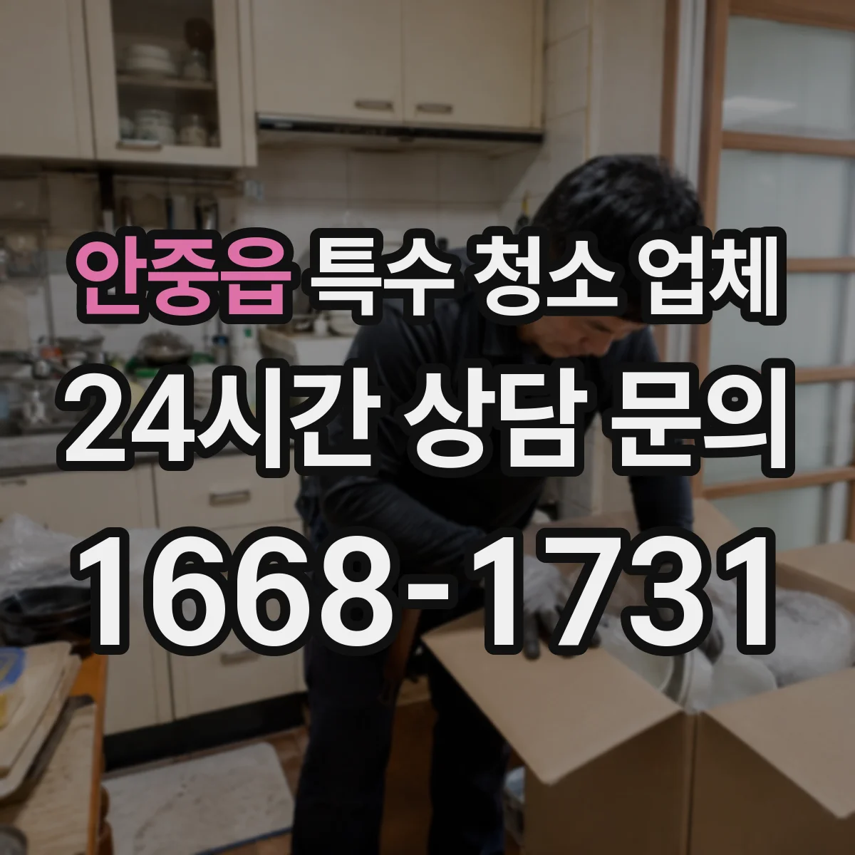 안중읍 특수 청소 업체