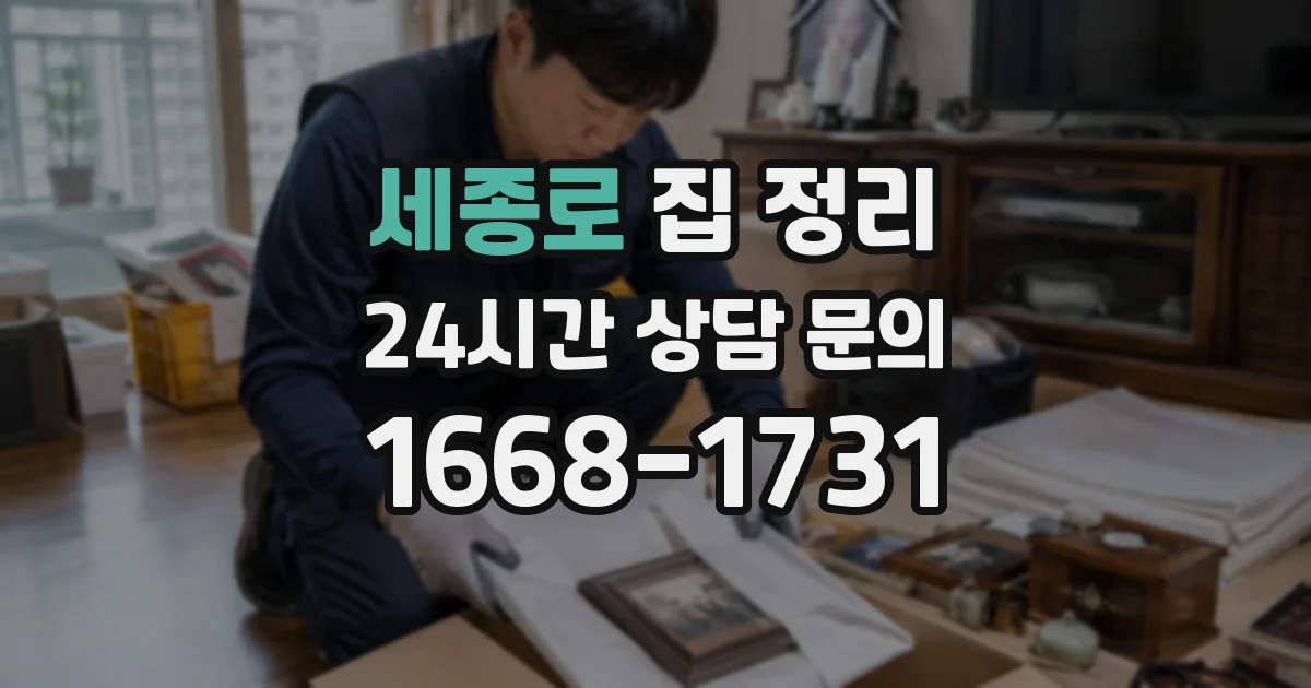 세종로 집 정리