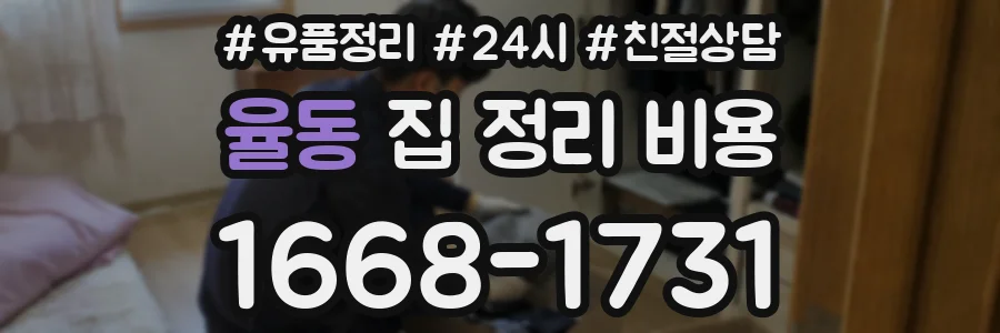 율동 집 정리 비용