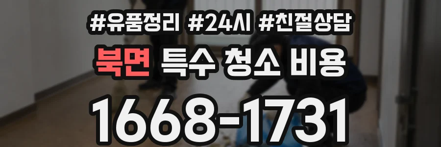 북면 특수 청소 비용