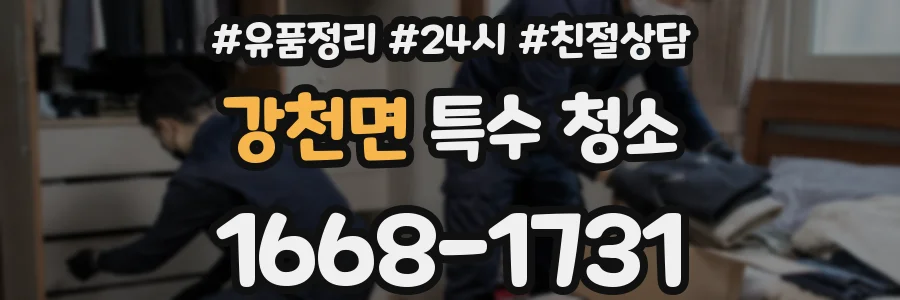 강천면 특수 청소