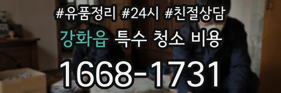강화읍 특수 청소 비용