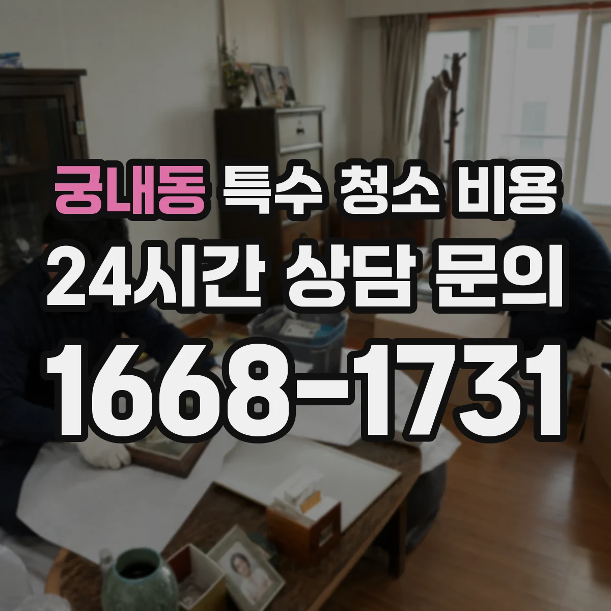 궁내동 특수 청소 비용