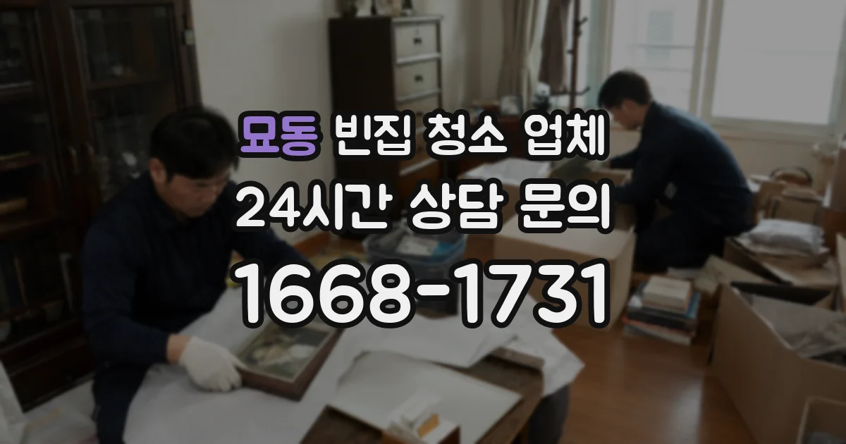 묘동 빈집 청소 업체