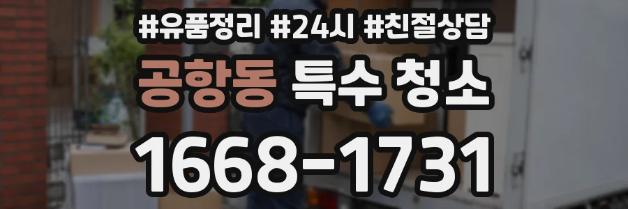 공항동 특수 청소