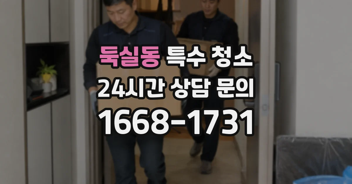 둑실동 특수 청소