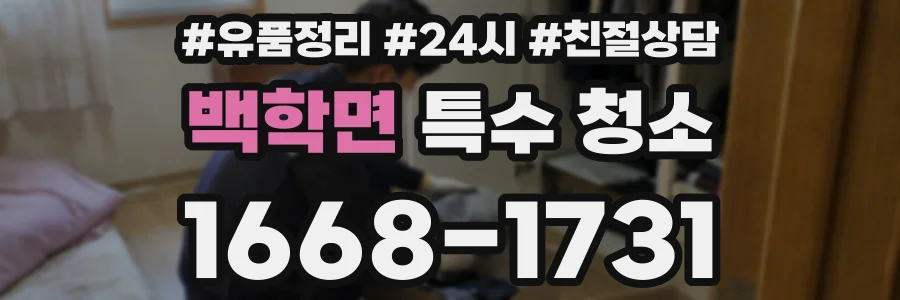 백학면 특수 청소