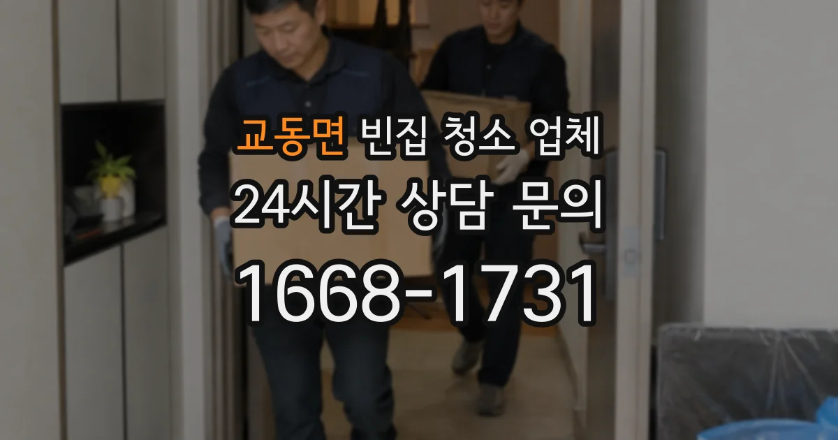 교동면 빈집 청소 업체