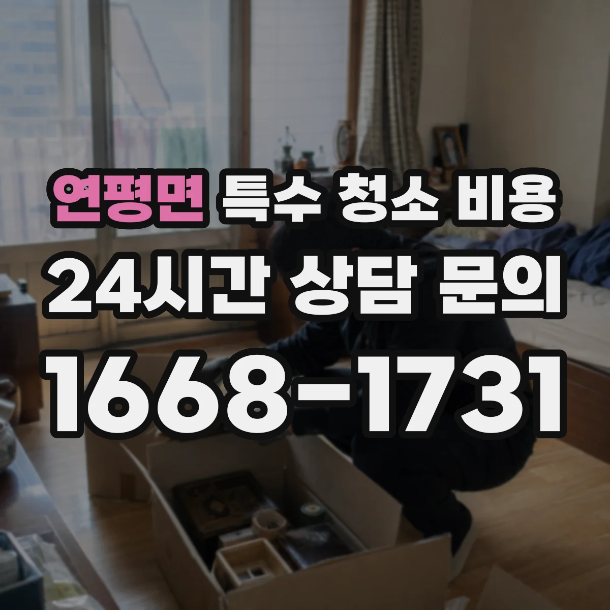 연평면 특수 청소 비용