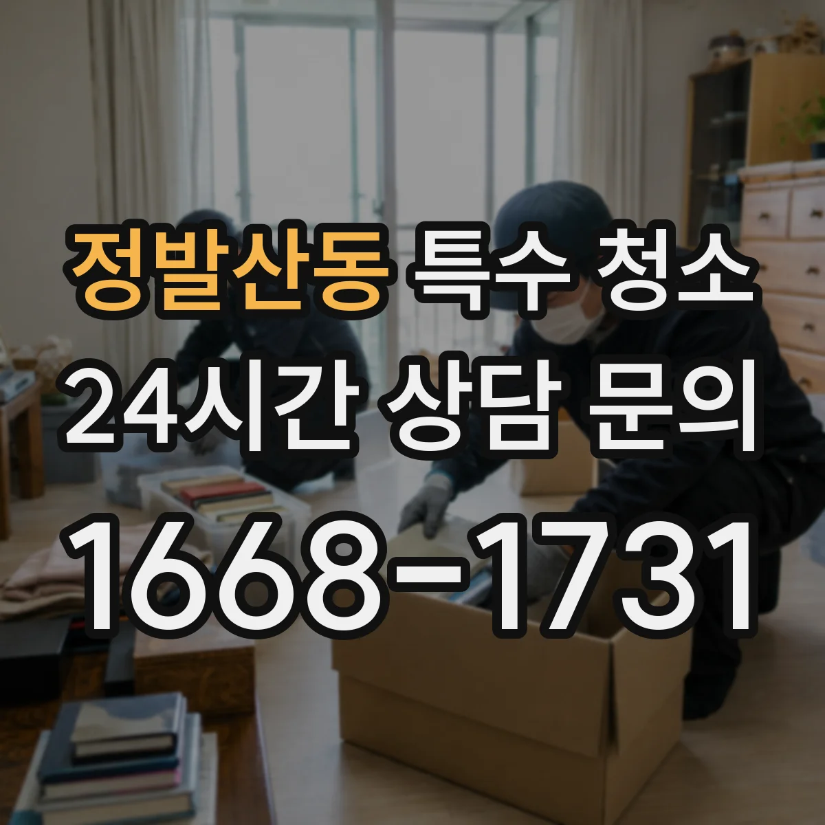 정발산동 특수 청소