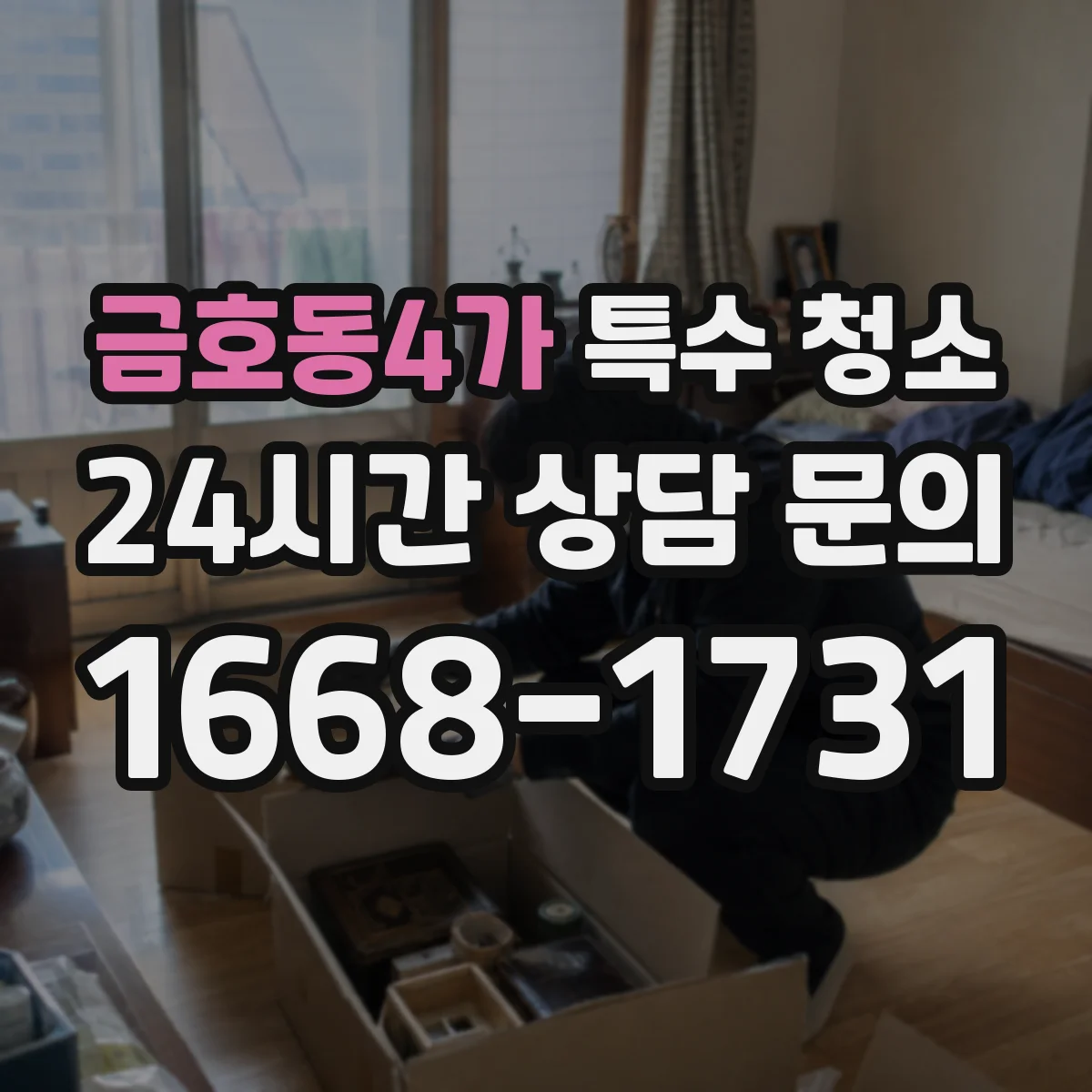 금호동4가 특수 청소