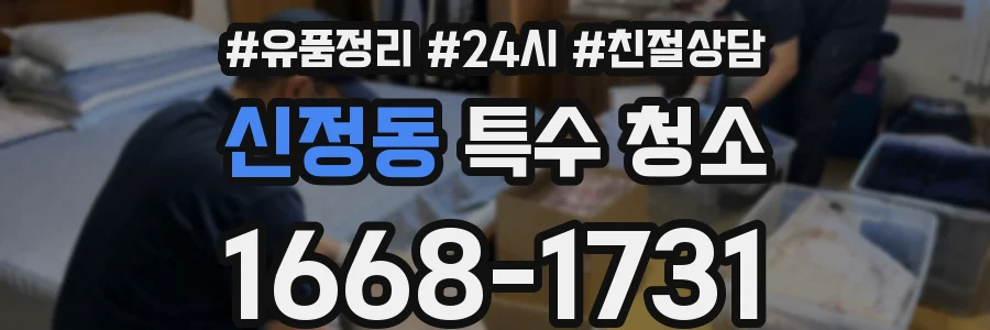 신정동 특수 청소