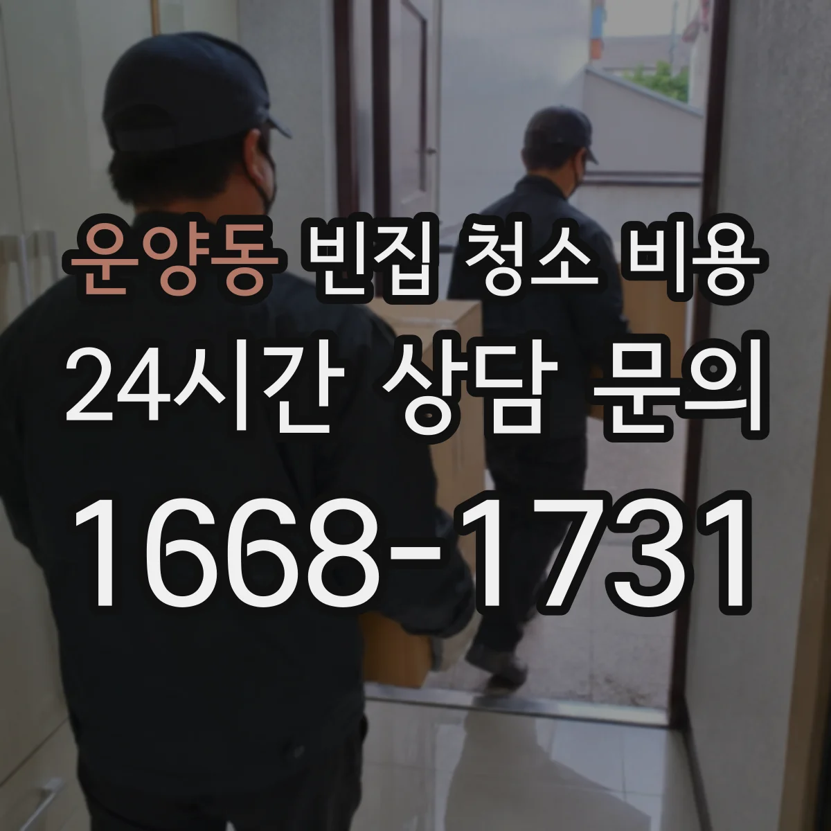운양동 빈집 청소 비용