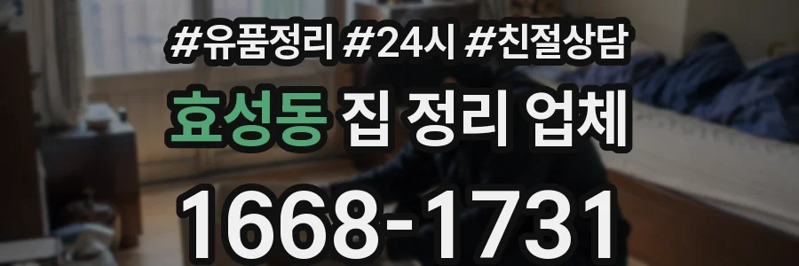 효성동 집 정리 업체