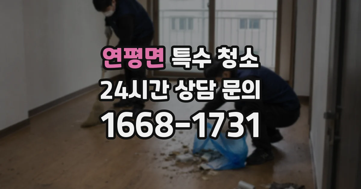 연평면 특수 청소