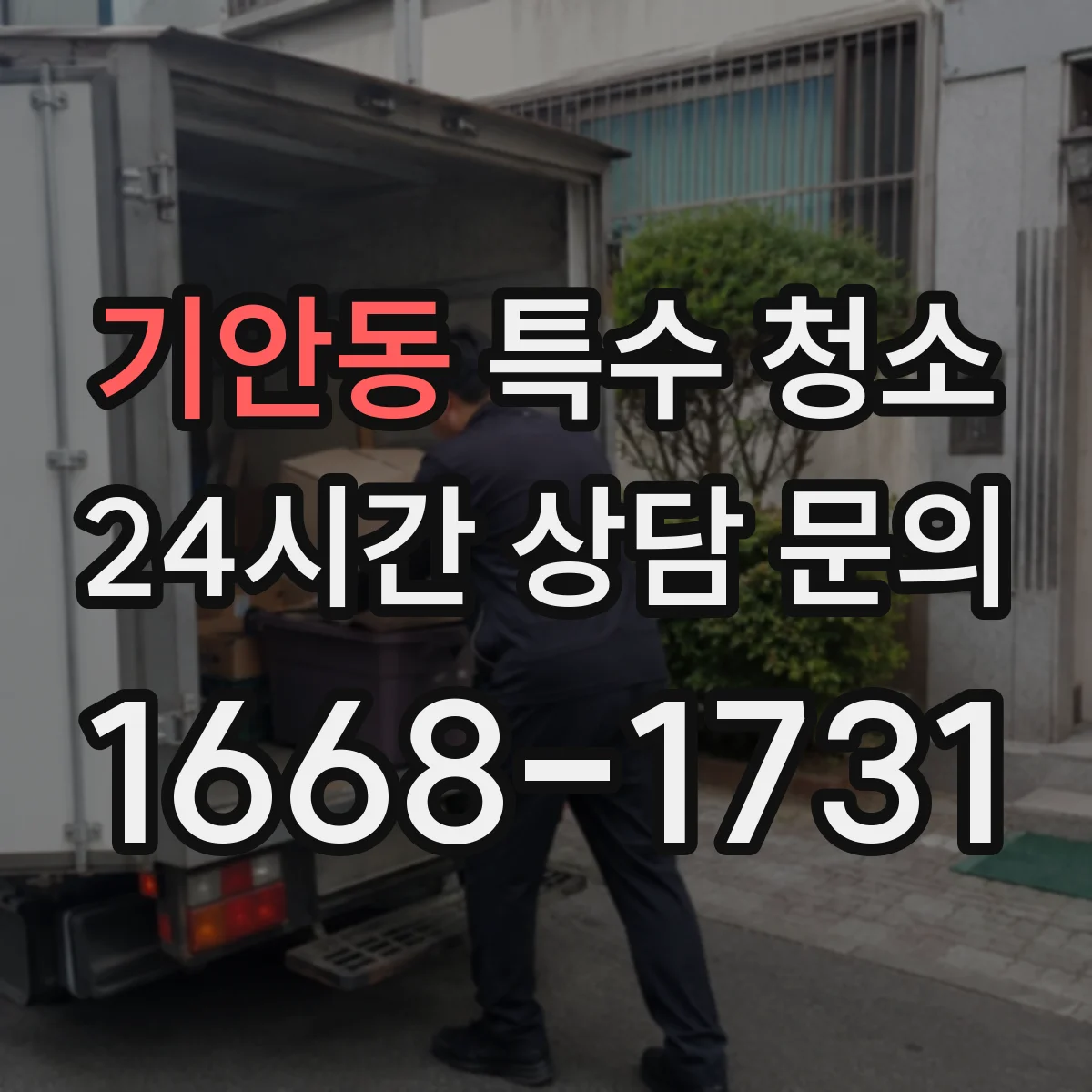 기안동 특수 청소