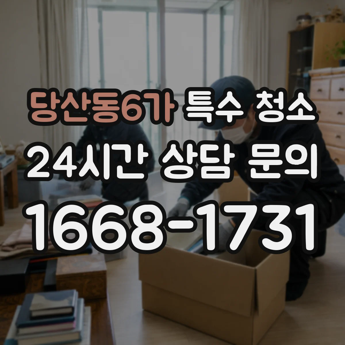 당산동6가 특수 청소