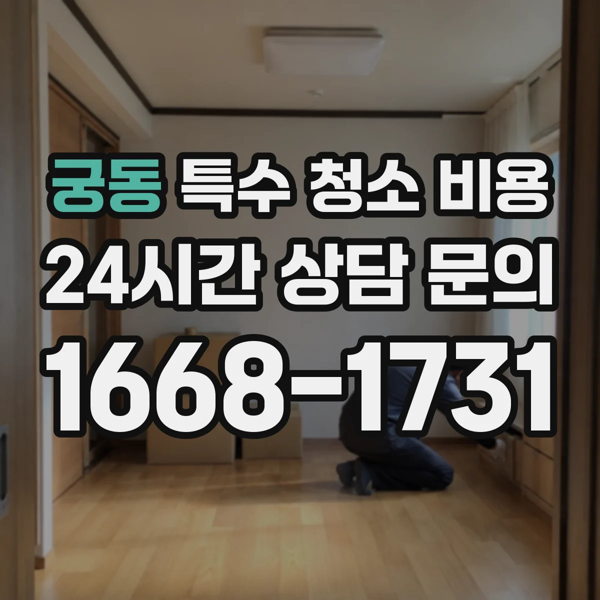 궁동 특수 청소 비용
