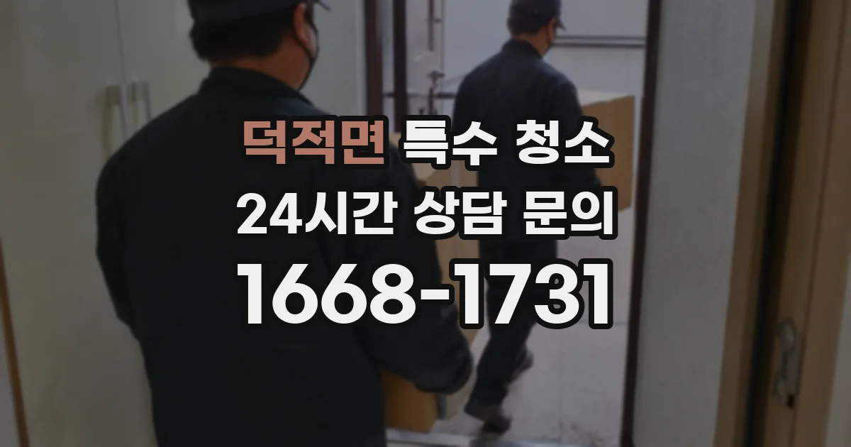 덕적면 특수 청소