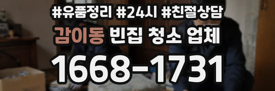감이동 빈집 청소 업체