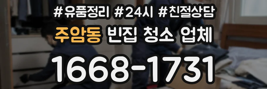 주암동 빈집 청소 업체
