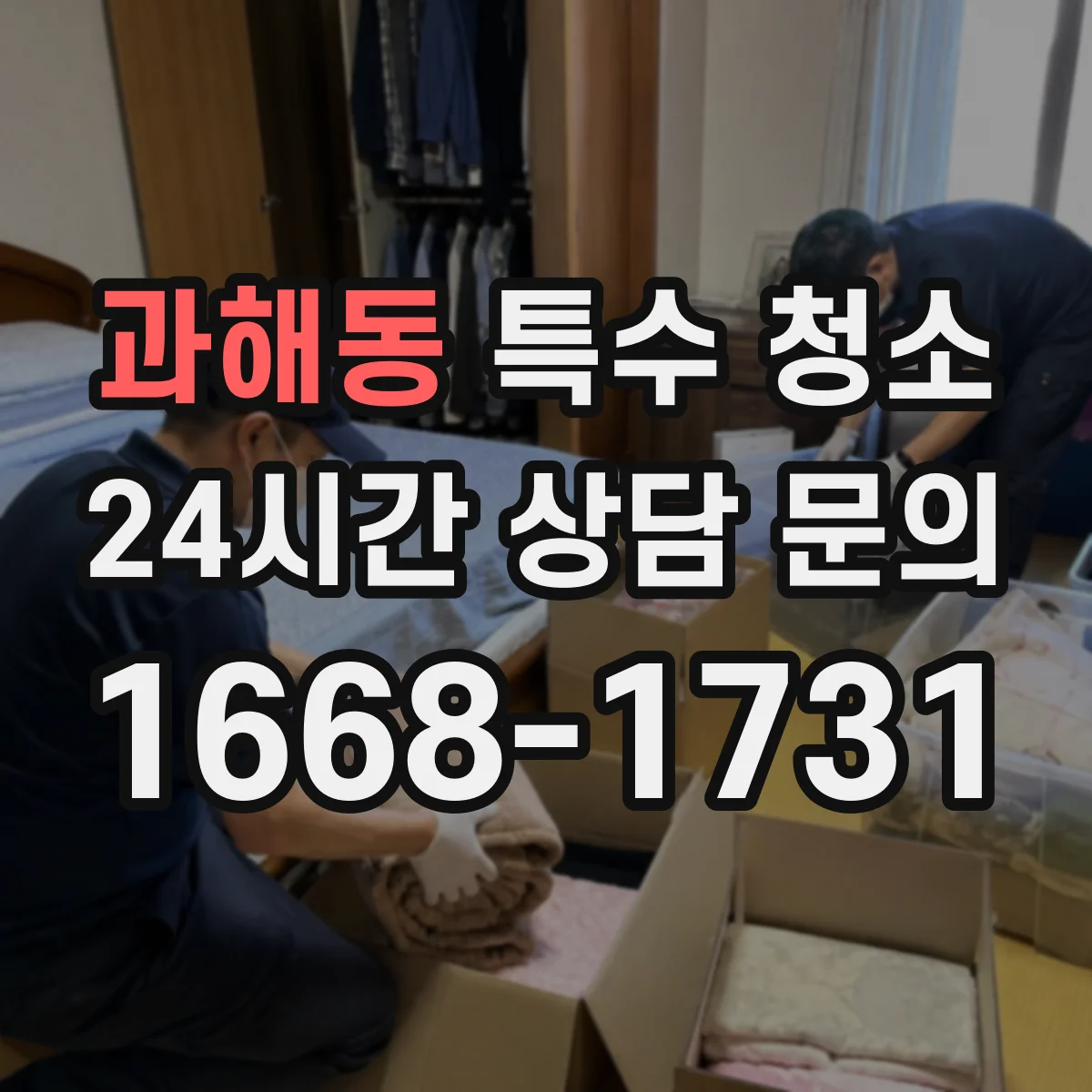 과해동 특수 청소