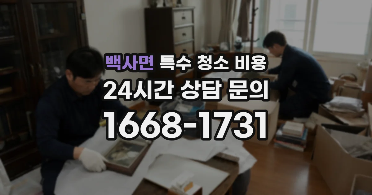 백사면 특수 청소 비용