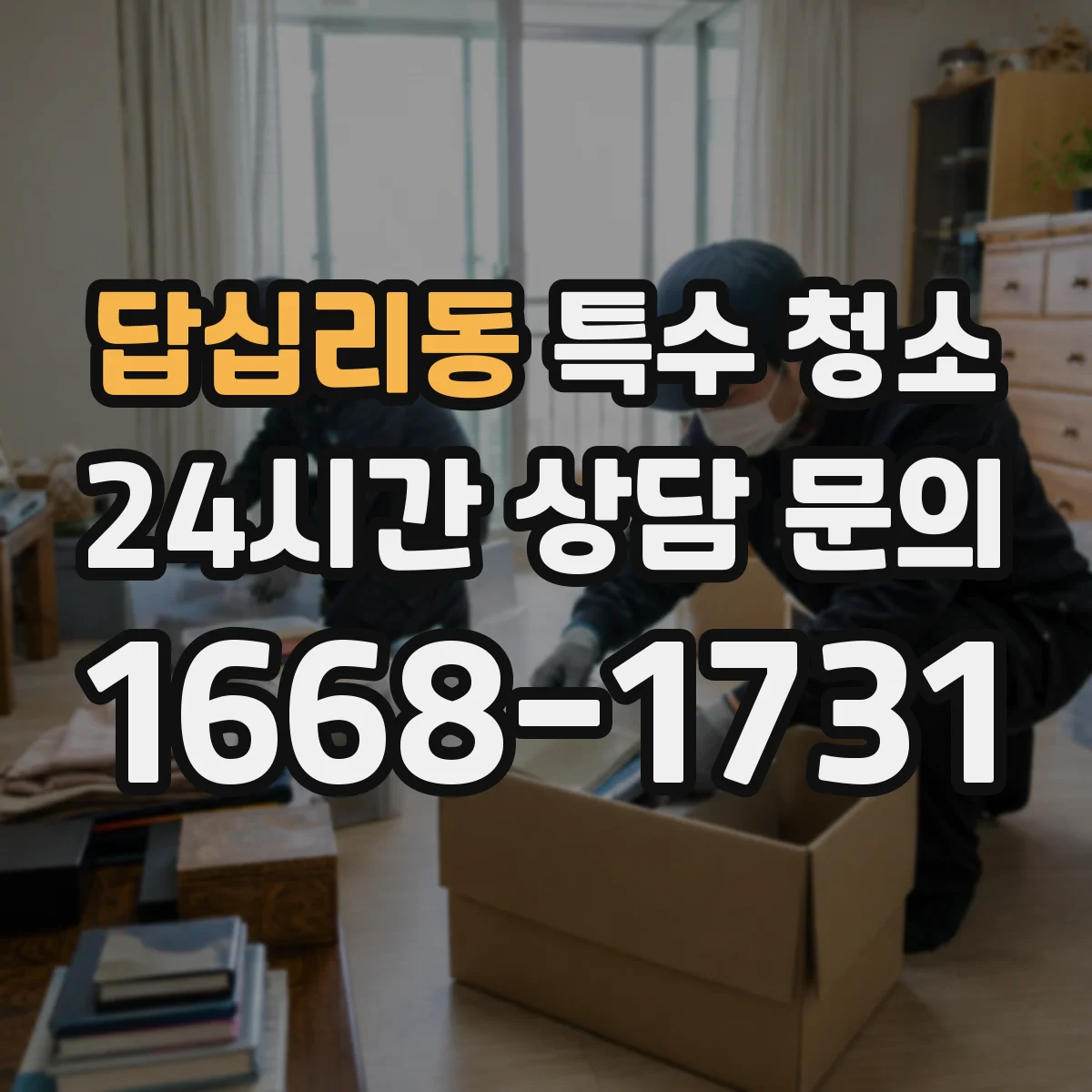 답십리동 특수 청소