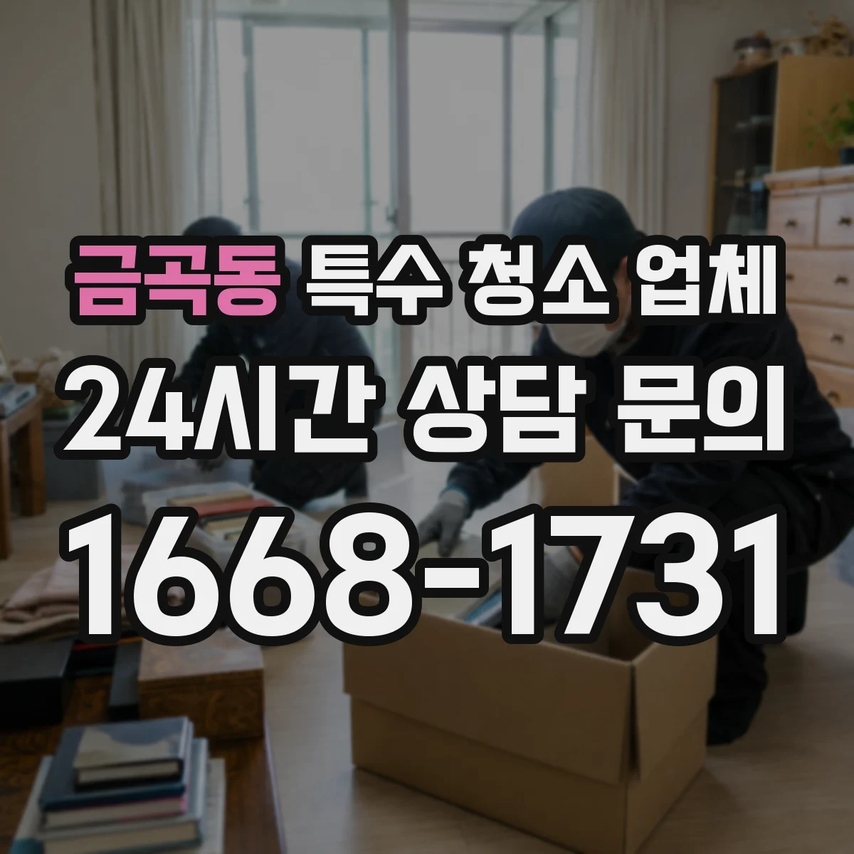 금곡동 특수 청소 업체