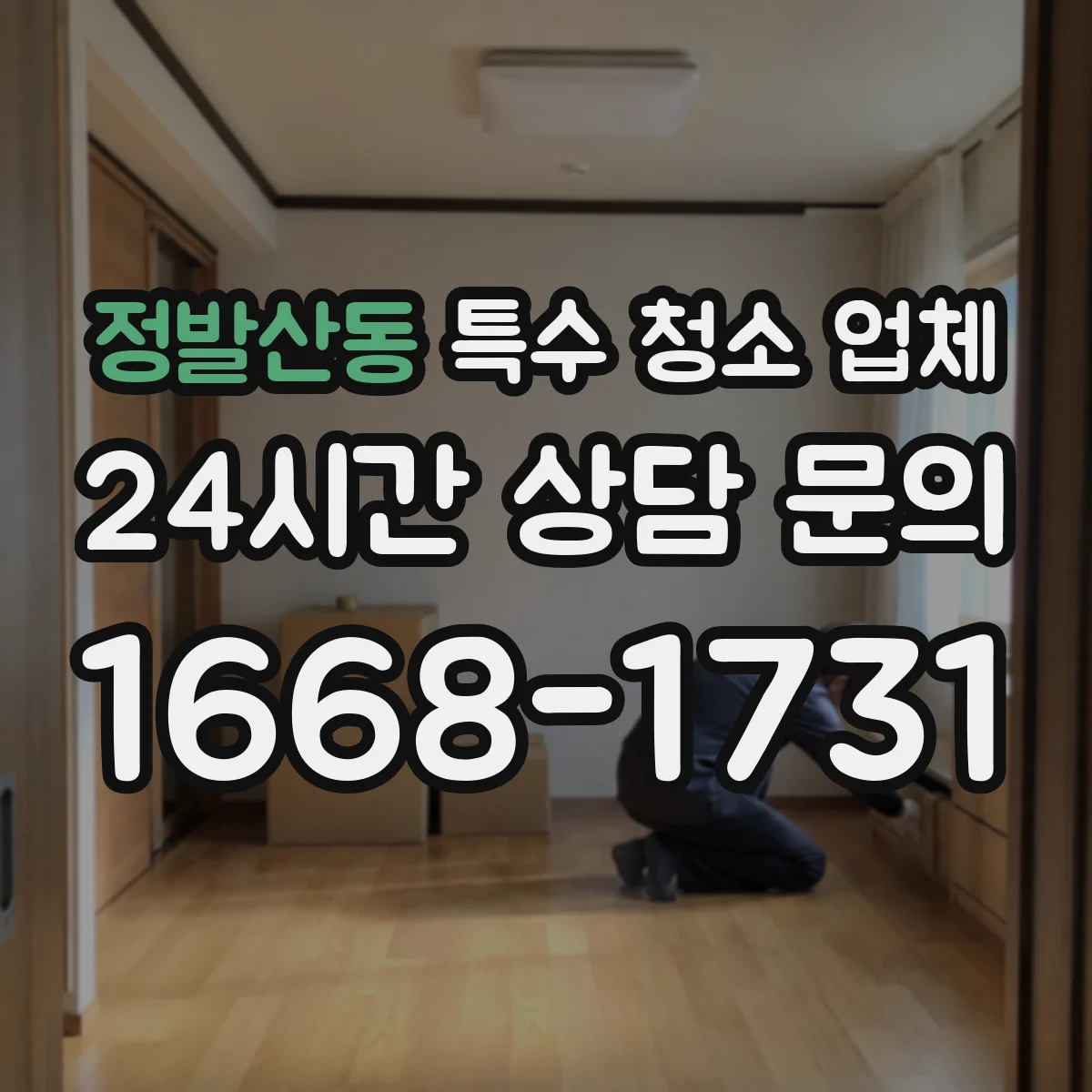 정발산동 특수 청소 업체
