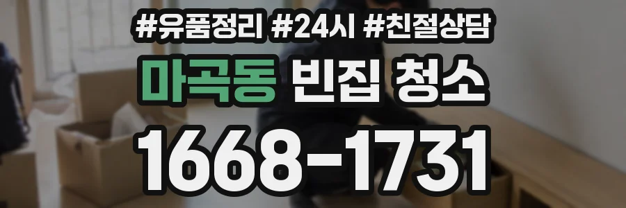 마곡동 빈집 청소