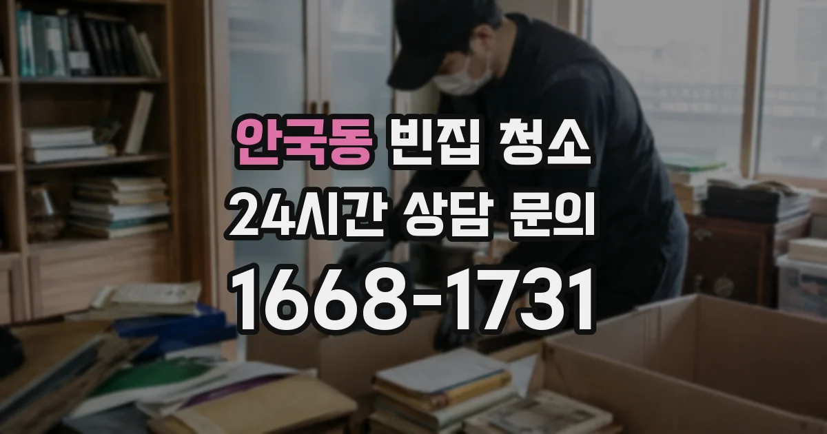 안국동 빈집 청소