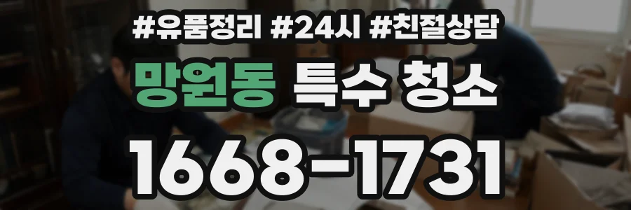망원동 특수 청소