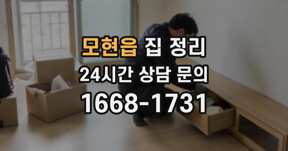 모현읍 집 정리