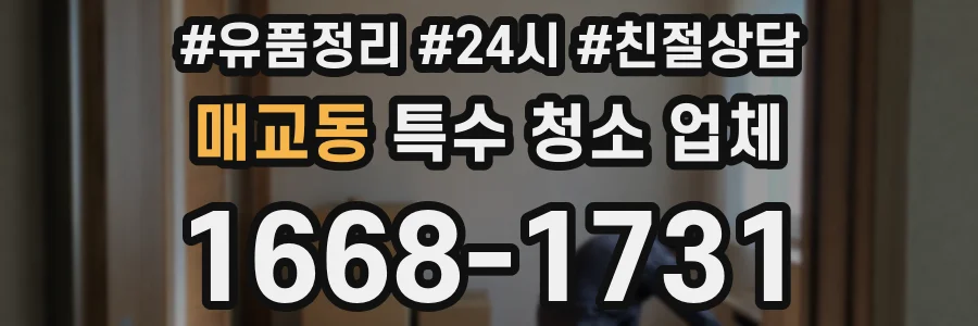 매교동 특수 청소 업체