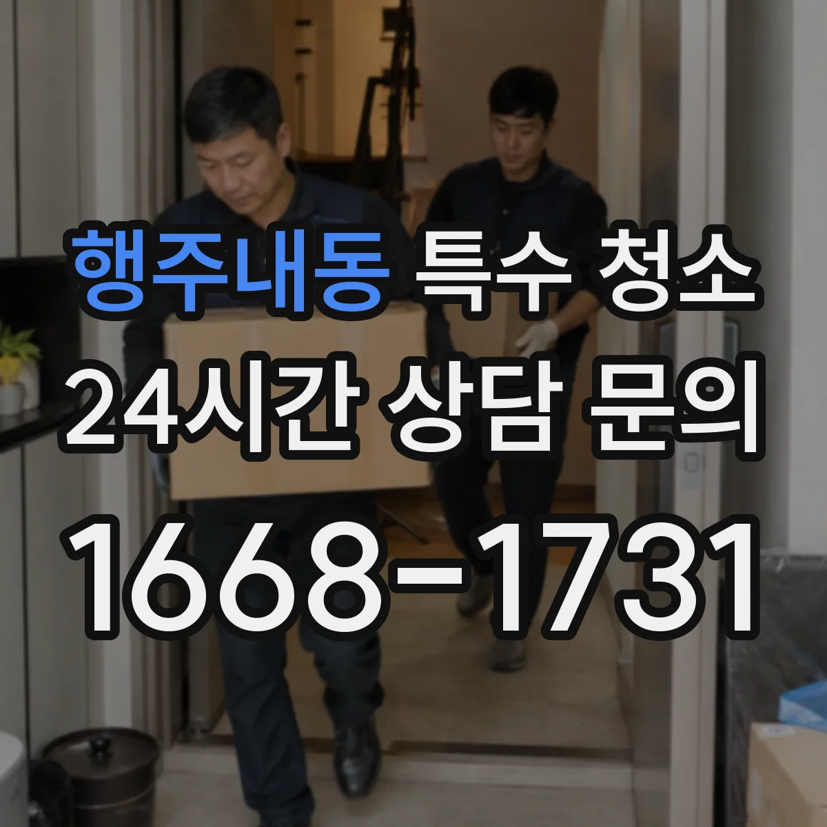 행주내동 특수 청소