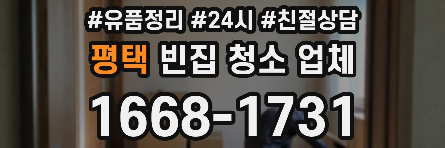 평택 빈집 청소 업체