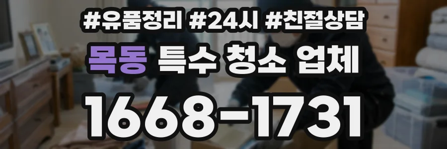 목동 특수 청소 업체