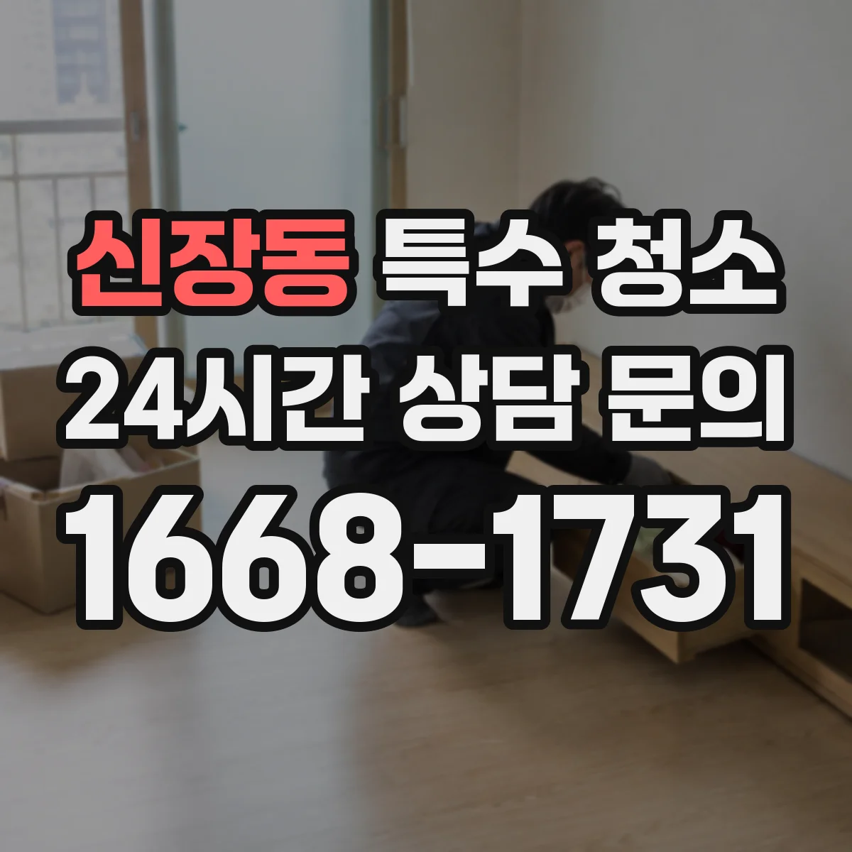 신장동 특수 청소
