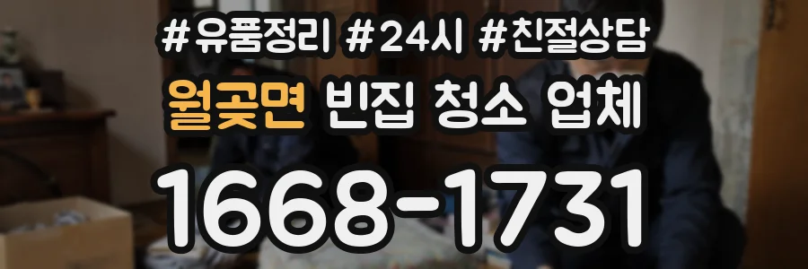 월곶면 빈집 청소 업체