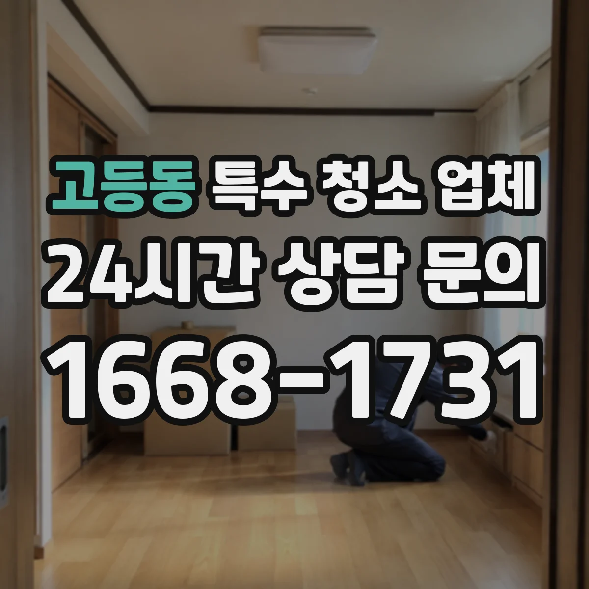 고등동 특수 청소 업체