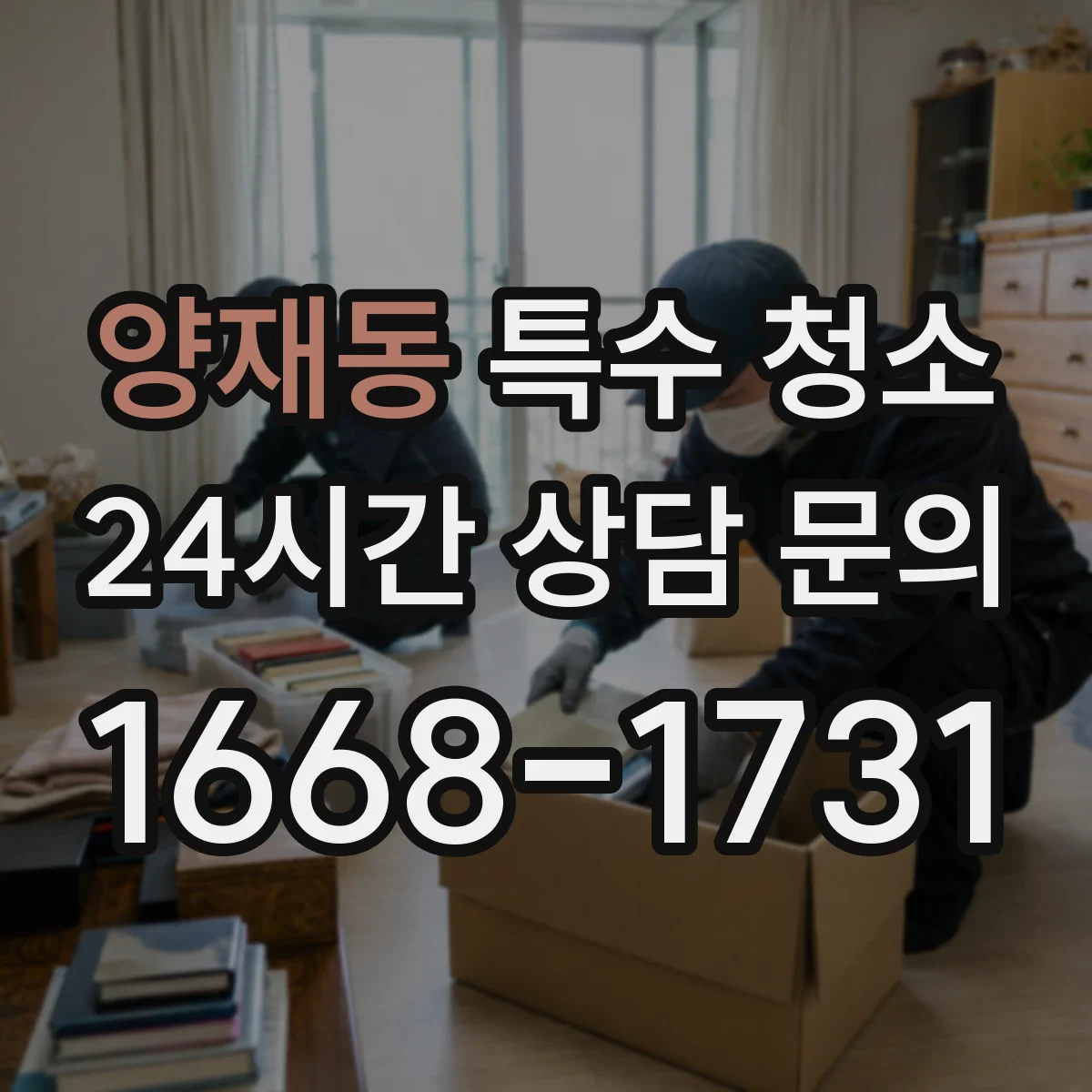 양재동 특수 청소