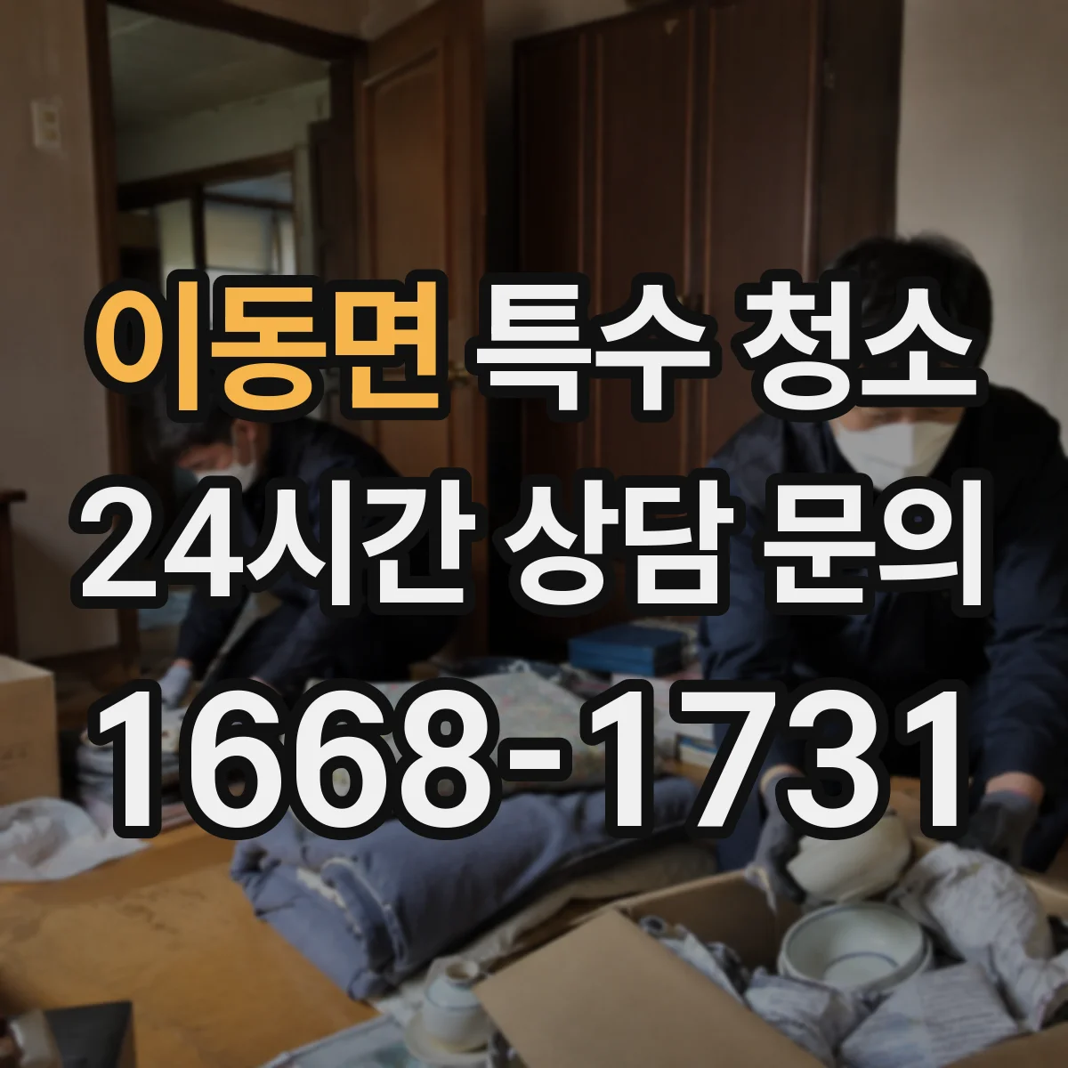 이동면 특수 청소