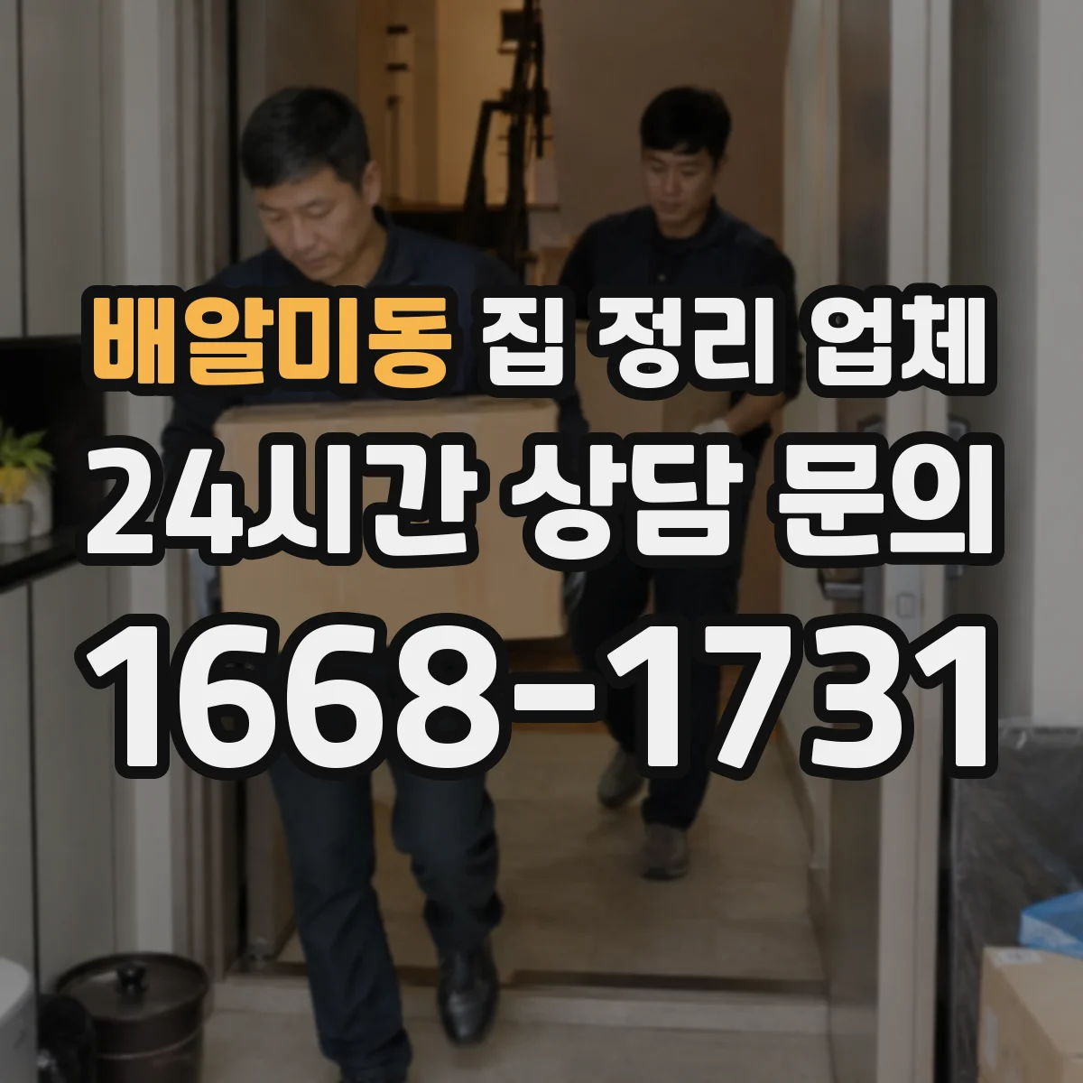 배알미동 집 정리 업체