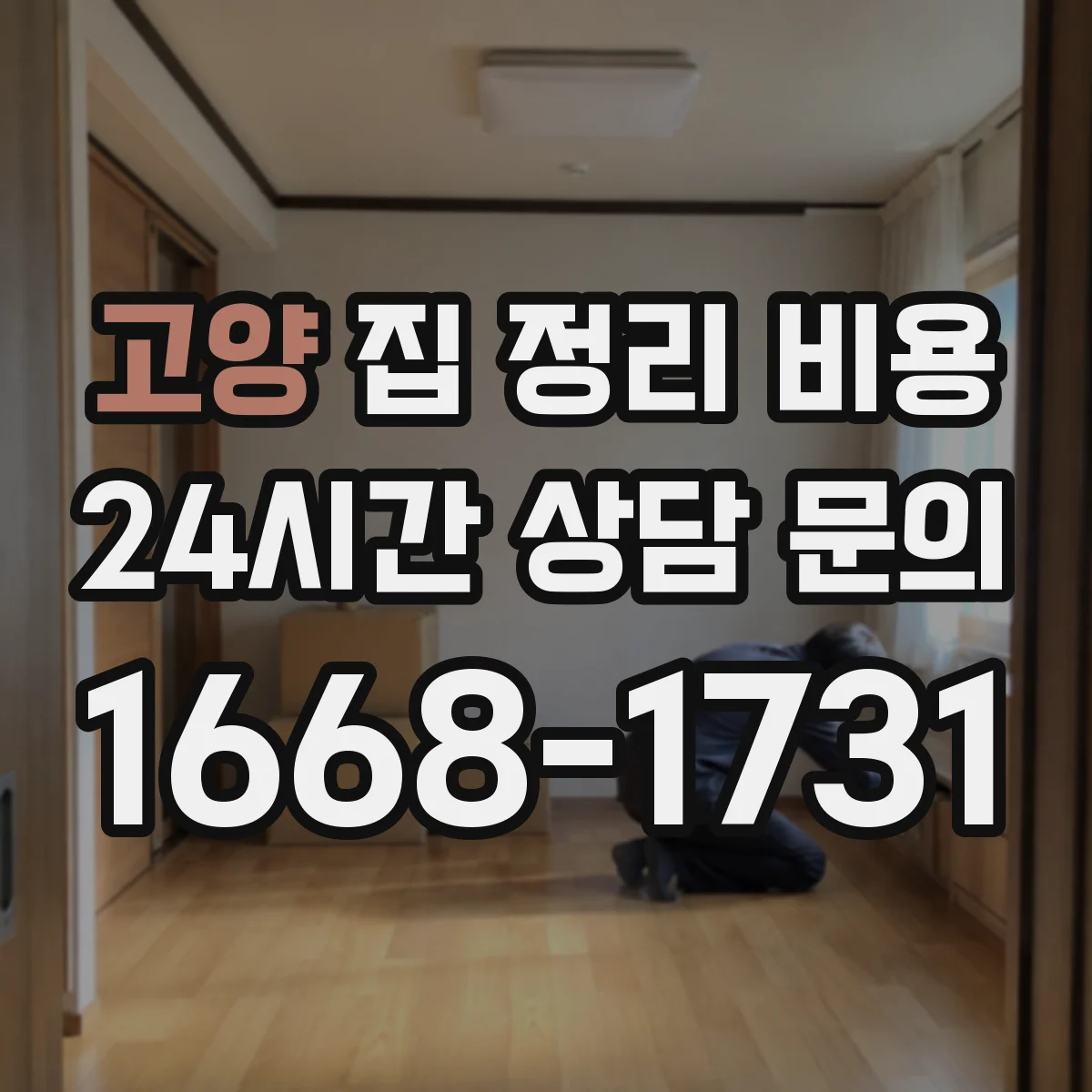 고양 집 정리 비용 반려동물 동선 보호 작업이 필요한 이유