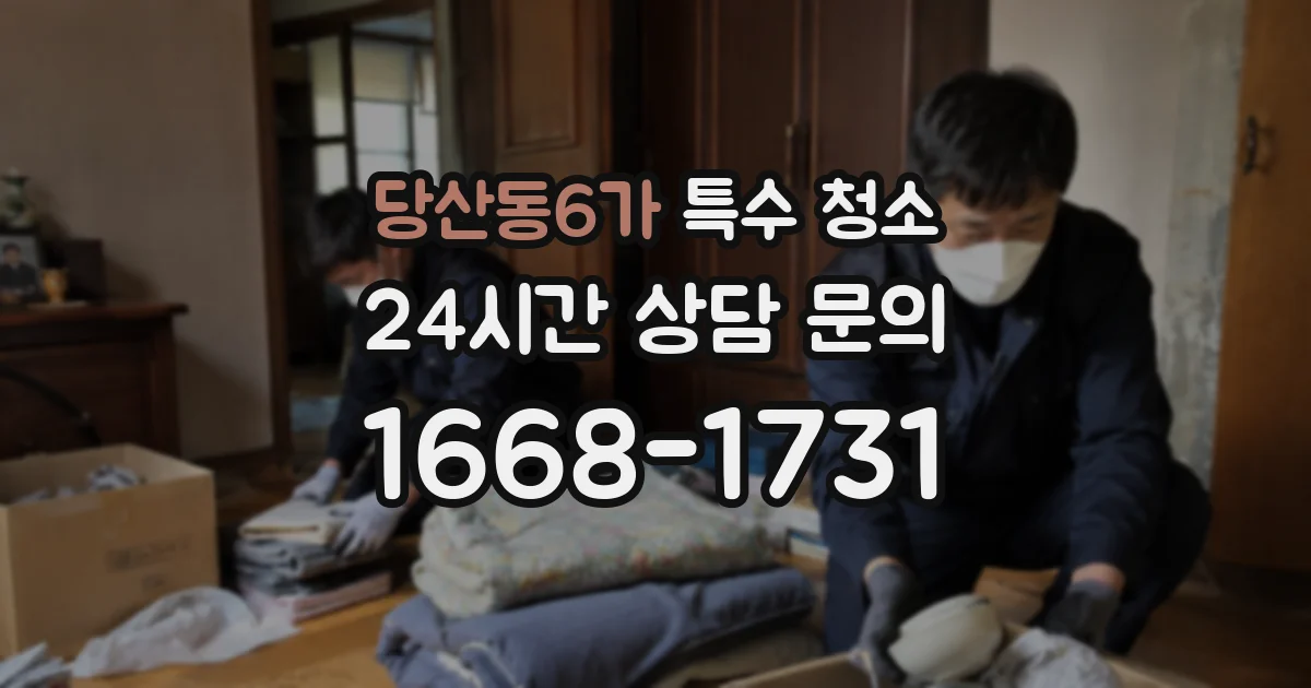 당산동6가 특수 청소