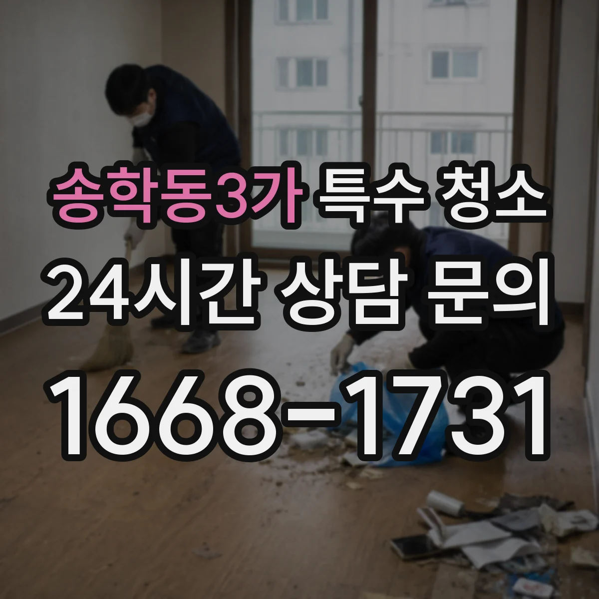 송학동3가 특수 청소